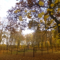 Sowjetischer Ehrenfriedhof im Klemmbergpark in Weißenfels im Burgenlandkreis