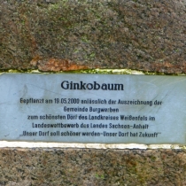 Gedenkstein "Unser Dorf hat Zukunft" in Burgwerben (Stadt Weißenfels) im Burgenlandkreis