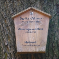 Klemmbergpark in Weißenfels im Burgenlandkreis